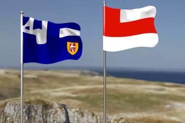 Flagquiz for begynder